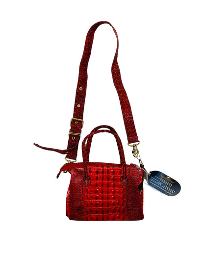 Talking About The Abstraction Illusion Baby Alligator Birkin Print Shoulder Bag