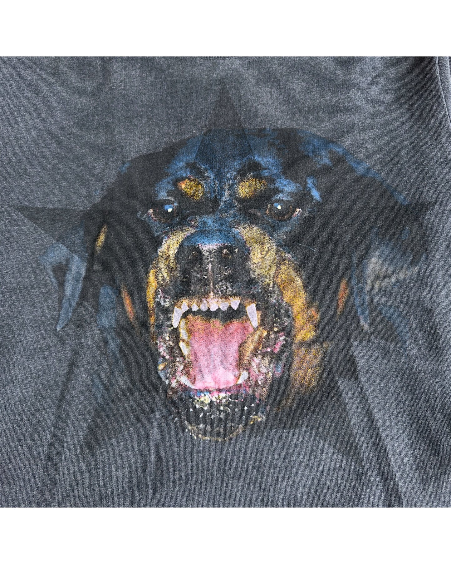 Givenchy Riccardo Tisci Rottweiler Star Sweatshirt